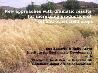 New approaches with dramatic results  for increasing production of  tef and other field crops Sue Edwards & Hailu Araya Institute for Sustainable Development with Tareke Berhe & Zewdie Gebretsadik SasakawaGlobal Africa Association  