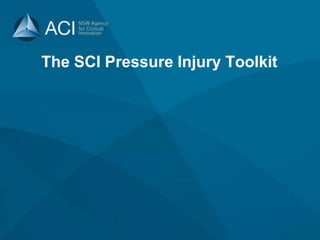 The SCI Pressure Injury Toolkit
 