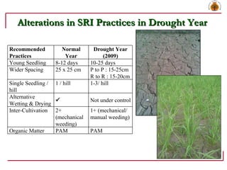 Alterations in SRI Practices in Drought Year  Recommended  Practices Normal Year Drought Year (2009) Young Seedling 8-12 d...