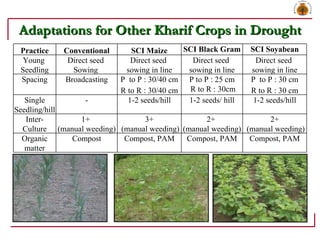 Adaptations for Other Kharif Crops in Drought Practice Conventional SCI Maize SCI Black Gram SCI Soyabean Young  Seedling ...
