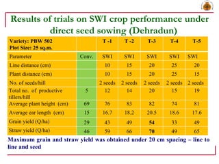 Results of trials on SWI crop performance under direct seed sowing (Dehradun) Maximum grain and straw yield was obtained u...