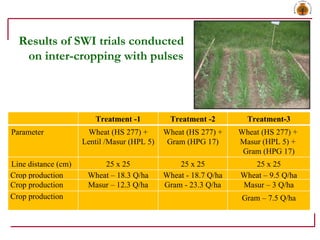 Results of SWI trials conducted on inter-cropping with pulses Treatment -1 Treatment -2 Treatment-3 Parameter Wheat (HS 27...