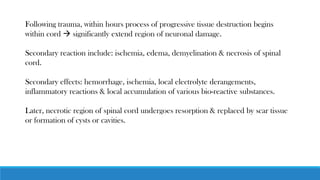 Following trauma, within hours process of progressive tissue destruction begins
within cord → significantly extend region of neuronal damage.
Secondary reaction include: ischemia, edema, demyelination & necrosis of spinal
cord.
Secondary effects: hemorrhage, ischemia, local electrolyte derangements,
inflammatory reactions & local accumulation of various bio-reactive substances.
Later, necrotic region of spinal cord undergoes resorption & replaced by scar tissue
or formation of cysts or cavities.
 