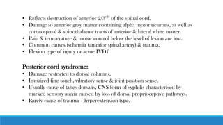 • Reflects destruction of anterior 2/3rds
of the spinal cord.
• Damage to anterior gray matter containing alpha motor neurons, as well as
corticospinal & spinothalamic tracts of anterior & lateral white matter.
• Pain & temperature & motor control below the level of lesion are lost.
• Common causes ischemia (anterior spinal artery) & trauma.
• Flexion type of injury or actue IVDP
Posterior cord syndrome:
• Damage restricted to dorsal columns.
• Impaired fine touch, vibratory sense & joint position sense.
• Usually cause of tabes dorsalis, CNS form of syphilis characterised by
marked sensory ataxia caused by loss of dorsal proprioceptive pathways.
• Rarely cause of trauma – hyperextension type.
 