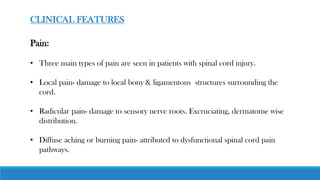 Pain:
• Three main types of pain are seen in patients with spinal cord injury.
• Local pain- damage to local bony & ligamentous structures surrounding the
cord.
• Radicular pain- damage to sensory nerve roots. Excruciating, dermatome wise
distribution.
• Diffuse aching or burning pain- attributed to dysfunctional spinal cord pain
pathways.
CLINICAL FEATURES
 