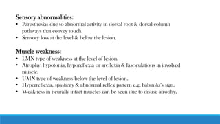Sensory abnormalities:
• Paresthesias due to abnormal activity in dorsal root & dorsal column
pathways that convey touch.
• Sensory loss at the level & below the lesion.
Muscle weakness:
• LMN type of weakness at the level of lesion.
• Atrophy, hypotonia, hyporeflexia or areflexia & fasciculations in involved
muscle.
• UMN type of weakness below the level of lesion.
• Hyperreflexia, spasticity & abnormal reflex pattern e.g. babinski’s sign.
• Weakness in neurally intact muscles can be seen due to disuse atrophy.
 