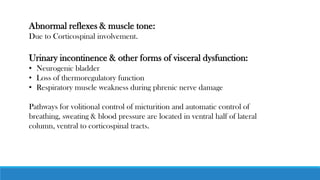 Abnormal reflexes & muscle tone:
Due to Corticospinal involvement.
Urinary incontinence & other forms of visceral dysfunction:
• Neurogenic bladder
• Loss of thermoregulatory function
• Respiratory muscle weakness during phrenic nerve damage
Pathways for volitional control of micturition and automatic control of
breathing, sweating & blood pressure are located in ventral half of lateral
column, ventral to corticospinal tracts.
 