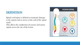 - Neil Armstrong
DEFINITION
Spinal cord injury is defined as traumatic damage
to the spinal cord or nerves at the end of the spinal
canal.
This affects the conduction of sensory and motor
signals across the site of the lesion.
 