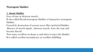 Neurogenic bladder:
1. Atonic bladder
Loss of tone in detrusor muscle.
It also called flaccid neurogenic bladder or hypoactive neurogenic
bladder.
Caused by destruction of sensory nerve fiber (pelvic)of bladder.
Absence of stretch signals , detrusor muscle loses the tone and
become flaccid
Now urine overflows in drops as and when it enters the bladder
It is called overflow incontinence or overflow dribbling.
 