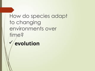 SCIENCE10-Q3-MODULE 6 THE Evolution.pptx