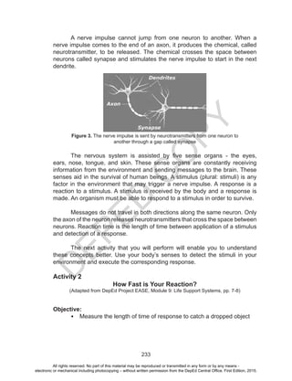 D
EPED
C
O
PY
233
	 A nerve impulse cannot jump from one neuron to another. When a
nerve impulse comes to the end of an axon, it produces the chemical, called
neurotransmitter, to be released. The chemical crosses the space between
neurons called synapse and stimulates the nerve impulse to start in the next
dendrite.
	
	 The nervous system is assisted by five sense organs - the eyes,
ears, nose, tongue, and skin. These sense organs are constantly receiving
information from the environment and sending messages to the brain. These
senses aid in the survival of human beings. A stimulus (plural: stimuli) is any
factor in the environment that may trigger a nerve impulse. A response is a
reaction to a stimulus. A stimulus is received by the body and a response is
made. An organism must be able to respond to a stimulus in order to survive.
	
	 Messages do not travel in both directions along the same neuron. Only
the axon of the neuron releases neurotransmitters that cross the space between
neurons. Reaction time is the length of time between application of a stimulus
and detection of a response.
	 The next activity that you will perform will enable you to understand
these concepts better. Use your body’s senses to detect the stimuli in your
environment and execute the corresponding response.
Activity 2
How Fast is Your Reaction?
(Adapted from DepEd Project EASE, Module 9: Life Support Systems, pp. 7-8)
Objective:
•	 Measure the length of time of response to catch a dropped object
Figure 3. The nerve impulse is sent by neurotransmitters from one neuron to
another through a gap called synapse
All rights reserved. No part of this material may be reproduced or transmitted in any form or by any means -
electronic or mechanical including photocopying – without written permission from the DepEd Central Office. First Edition, 2015.
 