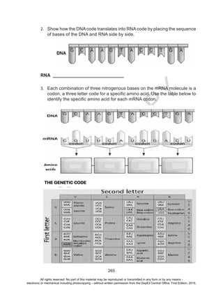 D
EPED
C
O
PY
265
2.	 Show how the DNA code translates into RNA code by placing the sequence
of bases of the DNA and RNA side by side.
RNA ____________________________
3.	 Each combination of three nitrogenous bases on the mRNA molecule is a
codon, a three letter code for a specific amino acid. Use the table below to
identify the specific amino acid for each mRNA codon.
THE GENETIC CODE
TABLE
All rights reserved. No part of this material may be reproduced or transmitted in any form or by any means -
electronic or mechanical including photocopying – without written permission from the DepEd Central Office. First Edition, 2015.
 