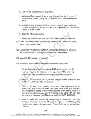 D
EPED
C
O
PY
274
Q1. Does the mRNA model more closely resemble the DNA strand from
which it was transcribed?
Q2. Explain how the structure of DNA enables the molecule to be easily
transcribed. Why is this important for genetic information?
Q3. Why is RNA important to the cell?
Q4. How does a mRNA molecule carry information from DNA?
	 Do you know how the information in DNA, which is found in the
nucleus, move to the ribosome in the cytoplasm? The following
events can help you understand the process of transcription:
•	 Step 1. Ribonucleic Acid polymerase enzyme binds and opens the
DNA molecule that will be transcribed.
•	 Step 2. As the DNA molecule opens, the RNA polymerase slides
along the DNA strand and links free RNA nucleotides that pair with
the nitrogenous bases of the complementary DNA strand. Hence, if
the sequence of bases on the DNA strand were CCG TTA CAT, the
sequence of bases on the RNA strand would be GGC AAU GUA.
•	 Step 3. When the process of base-pairing is completed, the RNA
molecule breaks away as the DNA strands rejoin. The RNA leaves the
nucleus and goes to the cytoplasm. Figure 6 shows the transcription
process.
6.	 Cut out the shapes of each nucleotide.
7.	 With your DNA model in front of you, demonstrate the process of
transcription by first pulling the DNA model apart between the base
pairs.
8.	 Using the right strand of the DNA model in step 3, begin matching
complementary RNA nucleotides with the exposed bases on the DNA
model to make mRNA.
9.	 Tape the RNA nucleotides.
10.	When you are finished, tape your new mRNA molecule together.
All rights reserved. No part of this material may be reproduced or transmitted in any form or by any means -
electronic or mechanical including photocopying – without written permission from the DepEd Central Office. First Edition, 2015.
 