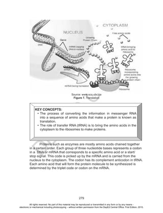D
EPED
C
O
PY
279
	 Proteins such as enzymes are mostly amino acids chained together
in a certain order. Each group of three nucleotide bases represents a codon
in a DNA or mRNA that corresponds to a specific amino acid or a start/
stop signal. This code is picked up by the mRNA and is carried from the
nucleus to the cytoplasm. The codon has its complement anticodon in tRNA.
Each amino acid that will form the protein molecule to be synthesized is
determined by the triplet code or codon on the mRNA.
Source: www.scq.ubc.ca
Figure 7. Translation
KEY CONCEPTS:
•	The process of converting the information in messenger RNA
into a sequence of amino acids that make a protein is known as
translation.
•	The role of transfer RNA (tRNA) is to bring the amino acids in the
cytoplasm to the ribosomes to make proteins.
All rights reserved. No part of this material may be reproduced or transmitted in any form or by any means -
electronic or mechanical including photocopying – without written permission from the DepEd Central Office. First Edition, 2015.
 
