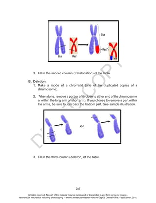 D
EPED
C
O
PY
285
3.	 Fill in the second column (translocation) of the table.
B.	 Deletion
1.	 Make a model of a chromatid (one of the duplicated copies of a
chromosome).
2.	 When done, remove a portion of it (close to either end of the chromosome
or within the long arm or short arm). If you choose to remove a part within
the arms, be sure to join back the bottom part. See sample illustration.
3.	 Fill in the third column (deletion) of the table.
All rights reserved. No part of this material may be reproduced or transmitted in any form or by any means -
electronic or mechanical including photocopying – without written permission from the DepEd Central Office. First Edition, 2015.
 