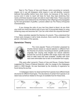 317
Darwinian Theory
The more popular Theory of Evolution proposed by
Charles Darwin based on natural selection is different from
the theories of Lamarck. According to Darwin, giraffe species
originally had varying neck lengths but natural selection
favored the survival of giraffes with longer necks that could
feed on taller trees that were available. Giraffes with short
neck were eliminated due to lack of accessible food supply.
Fifty years after Lamarck’s Theory of Use and Disuse, Charles Darwin
suggested the Theory of Natural Selection, after his voyage to the Galapagos
Island in HMS Beagle. He was fascinated by the diversity of organisms he
found along the journey.
In Galapagos Island, he observed that finch species have different beak
structures for different food types. The abundance of certain finch species in an
island was somehow related to the type of available food for these birds.
Next is The Theory of Use and Disuse; which according to Lamarck,
organs not in use will disappear while organs in use will develop. Lamarck
believed that giraffes before have short necks, but because of the need to
survive and in order to reach tall trees for food, they kept stretching their
necks until these became longer and able to reach taller trees. These acquired
characteristics were believed to be inherited by their offsprings and propagated
by the next generation of giraffes. Lamarck called it as The Theory of Acquired
Characteristics.
If you change the color of your hair from black to blond, do you think
your child can inherit the blond color of your hair? A young lady keeps on using
whitening soap and becomes fair? Can her child inherit her acquired fairness?
Many scientists rejected the theories of Lamarck. They understood that
if there were changes in cell or body structure, there could be changes in the
genetic information of the species.
 