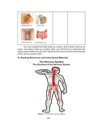 228
You have studied that cells make up a tissue, then tissues make up an
organ, and organs make up a system. Now, you will first try to understand the
organ system before you go to the cellular level to know how the individual cells
of the nervous system work.
IV. Reading Resources and Instructional Materials
The Nervous System
The Structure of the Nervous System
Figure 1. The human nervous system
sandrocastelli.com tooloop.com
health.allrefer.com Lackfoundation.org
 