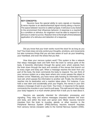 236
KEY CONCEPTS:
	 Neurons have the special ability to carry signals or impulses.
A nerve impulse is an electrochemical signal moving along a neuron.
The space between neurons is called synapse. A stimulus is any factor
in the environment that influences behavior. A response is a reaction
to a condition or stimulus. An organism must be able to respond to a
stimulus in order to survive. Reaction time is the length of time between
application of a stimulus and detection of a response.
	 Did you know that your brain works round the clock for as long as you
live? Your brain does not only control your thoughts, emotions, and movements
but also numerous things that you are less aware of such as your breathing,
your heartbeat, and even the stress that you feel.
	 How does your nervous system work? This system is like a network
that relays messages back and forth from the brain to various parts of the
body. It transmits information through the spinal cord, which extends from
the brain down through the back and consists of fine nerves that branch out
to every organ and body part. When a message reaches the brain from any
part of the body, the brain commands the body to respond. You can think of
your nervous system as a relay team where one runner passes the object to
another runner. Relatively, you have nerve cells handing its information to the
next cell, which passes the information to another cell. Finally, the information
reaches into its destination and a reaction takes place. For instance, if you
hold a rose stem and accidentally prick your fingers, the nerves in your skin
release a message of pain to your brain. Your brain, in response to the signal,
commands the muscles in your hand to pull away. This split second relay inside
your body happens in a much shorter period than it took you to read about it.
	 Neurons are specially intended for information processing and
signaling. They relay and receive messages (impulse) between the brain
and body, and within the brain and spinal cord. Motor neurons transmit
impulses from the brain to muscles, glands, or other neurons in the
Peripheral Nervous System (PNS).Sensory neurons transmit impulses
from sensory nerves (receptor cells) to the Central Nervous System (CNS).
 