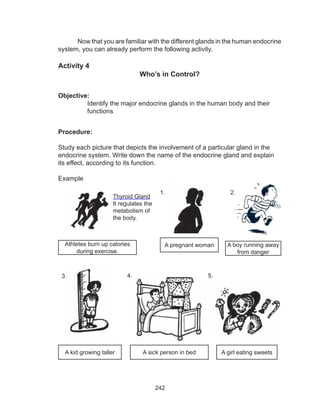 242
Now that you are familiar with the different glands in the human endocrine
system, you can already perform the following activity.
Activity 4
Who’s in Control?
Objective:
Identify the major endocrine glands in the human body and their
functions
Procedure:
Study each picture that depicts the involvement of a particular gland in the
endocrine system. Write down the name of the endocrine gland and explain
its effect, according to its function.
Example
Athletes burn up calories
during exercise.
Thyroid Gland
It regulates the
metabolism of
the body.
1.
A pregnant woman A boy running away
from danger
2.
A kid growing taller A sick person in bed A girl eating sweets
3. 4. 5.
 