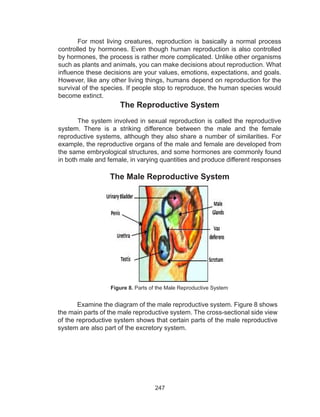 247
For most living creatures, reproduction is basically a normal process
controlled by hormones. Even though human reproduction is also controlled
by hormones, the process is rather more complicated. Unlike other organisms
such as plants and animals, you can make decisions about reproduction. What
influence these decisions are your values, emotions, expectations, and goals.
However, like any other living things, humans depend on reproduction for the
survival of the species. If people stop to reproduce, the human species would
become extinct.
The Reproductive System
The system involved in sexual reproduction is called the reproductive
system. There is a striking difference between the male and the female
reproductive systems, although they also share a number of similarities. For
example, the reproductive organs of the male and female are developed from
the same embryological structures, and some hormones are commonly found
in both male and female, in varying quantities and produce different responses
The Male Reproductive System
Examine the diagram of the male reproductive system. Figure 8 shows
the main parts of the male reproductive system. The cross-sectional side view
of the reproductive system shows that certain parts of the male reproductive
system are also part of the excretory system.
Figure 8. Parts of the Male Reproductive System
 