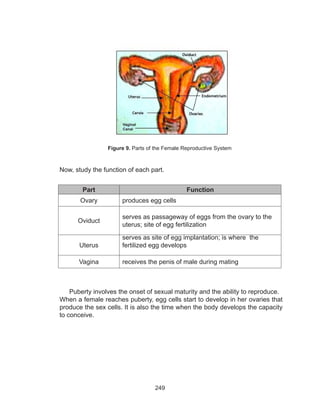 249
Now, study the function of each part.
Part Function
Ovary produces egg cells
Oviduct
serves as passageway of eggs from the ovary to the
uterus; site of egg fertilization
Uterus
serves as site of egg implantation; is where the
fertilized egg develops
Vagina receives the penis of male during mating
Puberty involves the onset of sexual maturity and the ability to reproduce.
When a female reaches puberty, egg cells start to develop in her ovaries that
produce the sex cells. It is also the time when the body develops the capacity
to conceive.
Figure 9. Parts of the Female Reproductive System
Vaginal
Canal
 