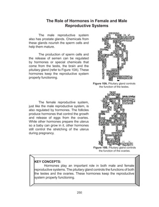 250
The Role of Hormones in Female and Male
Reproductive Systems
The male reproductive system
also has prostate glands. Chemicals from
these glands nourish the sperm cells and
help them mature.
The production of sperm cells and
the release of semen can be regulated
by hormones or special chemicals that
come from the testis, the brain and the
pituitary gland (refer to Figure 10A). These
hormones keep the reproductive system
properly functioning.
The female reproductive system,
just like the male reproductive system, is
also regulated by hormones. The follicles
produce hormones that control the growth
and release of eggs from the ovaries.
While other hormones prepare the uterus
so a baby can grow in it, other hormones
still control the stretching of the uterus
during pregnancy.
Figure 10A. Pituitary gland controls
the function of the testes.
Figure 10B. Pituitary gland controls
the function of the ovaries.
KEY CONCEPTS:
	 Hormones play an important role in both male and female
reproductive systems. The pituitary gland controls the functions of both
the testes and the ovaries. These hormones keep the reproductive
system properly functioning.
 