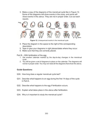 253
3. Make a copy of the diagrams of the menstrual cycle like in Figure 12.
Some of the diagrams will show events in the ovary, and some will
show events in the uterus. They are not in proper order. Cut out each
square.
4. Place the diagram in the space to the right of the corresponding
description.
5. Tape or glue your diagrams in right places/dates where they occur.
6. Make sure that they are correctly placed.
Part B – With fertilization of the egg
1.	 Get another calendar marked by the day-to-day changes in the menstrual
cycle.
2.	 You will be given a set of diagrams to place on the calendar. The diagrams will
not be in proper order. You may not need all the diagrams that show the uterus.
Guide Questions:
Q30. How long does a regular menstrual cycle last?
Q31. Describe what happens to an egg during the first 14 days of the cycle
in Part A.
Q32. Describe what happens to the egg if fertilization occurs.
Q33. Explain what takes place in the uterus after fertilization.
Q34. Why is it important to study the menstrual cycle?
Figure 12. Unsequenced events in the menstrual cycle
 