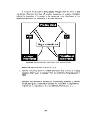 254
A feedback mechanism is the process through which the level of one
substance influences the level of another substance. A negative feedback
affects the production of hormones in the menstrual cycle. High levels of one
hormone may inhibit the production of another hormone.
Feedback mechanisms in menstrual cycle:
1.	 Follicle stimulating hormone (FSH) stimulates the ovaries to release
estrogen. High levels of estrogen then prevent the further production of
FSH.
2.	 Estrogen also stimulates the release of luteinizing hormone (LH) from
the pituitary gland, which in turn controls the production of progesterone.
High levels of progesterone then inhibit the further release of LH.
Figure 13. Negative feedback mechanisms in the menstrual cycle
 
