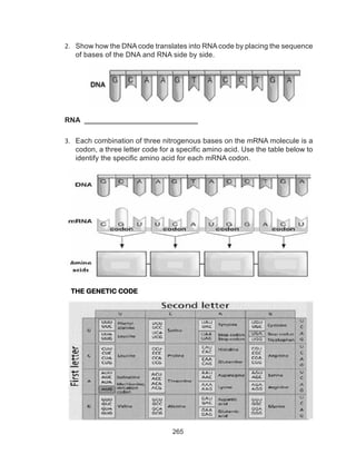 265
2.	 Show how the DNA code translates into RNA code by placing the sequence
of bases of the DNA and RNA side by side.
RNA ____________________________
3.	 Each combination of three nitrogenous bases on the mRNA molecule is a
codon, a three letter code for a specific amino acid. Use the table below to
identify the specific amino acid for each mRNA codon.
THE GENETIC CODE
TABLE
 