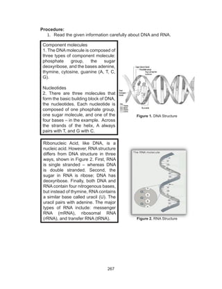 267
Procedure:
1.	 Read the given information carefully about DNA and RNA.
Figure 1. DNA Structure
Component molecules
1. The DNA molecule is composed of
three types of component molecule:
phosphate group, the sugar
deoxyribose, and the bases adenine,
thymine, cytosine, guanine (A, T, C,
G).
Nucleotides
2. There are three molecules that
form the basic building block of DNA,
the nucleotides. Each nucleotide is
composed of one phosphate group,
one sugar molecule, and one of the
four bases – in the example. Across
the strands of the helix, A always
pairs with T, and G with C.
Figure 2. RNA Structure
Ribonucleic Acid, like DNA, is a
nucleic acid. However, RNA structure
differs from DNA structure in three
ways, shown in Figure 2. First, RNA
is single stranded – whereas DNA
is double stranded. Second, the
sugar in RNA is ribose; DNA has
deoxyribose. Finally, both DNA and
RNA contain four nitrogenous bases,
but instead of thymine, RNA contains
a similar base called uracil (U). The
uracil pairs with adenine. The major
types of RNA include: messenger
RNA (mRNA), ribosomal RNA
(rRNA), and transfer RNA (tRNA).
 