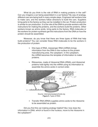272
What do you think is the role of RNA in making proteins in the cell?
Can you imagine a car being assembled in a car factory? By way of analogy,
different cars are being built in many simple steps. Engineers tell workers how
to make cars, and the workers follow directions to build the cars. Suppliers
bring parts to the factory so they can be installed in the car. Protein production
is similar to car production. It is the role of the DNA to provide workers with the
instructions for making the proteins, and the workers build the proteins. Other
workers known as amino acids, bring parts to the factory. RNA molecules or
the workers for protein synthesis get the instructions from the DNA on how the
protein should be assembled.
Moreover, do you know that there are three types of RNA that help
build proteins? You can consider these RNA molecules to be the workers in
the production of protein.
•	 One type of RNA, messenger RNA (mRNA) brings
information from the DNA in the nucleus to the protein
manufacturing area, the cytoplasm. In the cytoplasm,
the mRNA becomes the template of information to make
proteins.
•	 Ribosomes, made of ribosomal RNA (rRNA), and ribosomal
proteins hold tightly into the mRNA using its information to
assemble the amino acids in correct order.
Source: internalcampaignschools.org
Figure 5. Types of RNA
•	 Transfer RNA (tRNA) supplies amino acids to the ribosome
to be assembled as protein.
Did you find this car-making analogy helpful? But, how does the
information in DNA, which is found in the nucleus, move to the ribosome in
the cytoplasm?
 