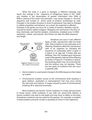 282
When the code in a gene is changed, a different message may
result. Any change in the sequence of nitrogenous bases in the DNA,
any mistake in the transcription of genetic information from DNA to
RNA or pairing of the codon and anticodon, may cause changes in the kind,
sequence and number of amino acids of proteins synthesized by cells.
Changes in the protein structure or level of expression may lead to changes
in cellular properties and behavior, as a result, the organism is affected.
Changes in the genes can occur for a variety of reasons. Mutation may be
induced by factors called mutagens. Mutagens are commonly in the form of
toxic chemicals, and harmful radiation. Sometimes, mistakes occur in DNA
replication, mitosis, and meiosis. All of these can alter the DNA sequence
and length.
	 Mutations can occur in two different
types of cells: reproductive cells and body
cells. Only mutations in sex cells pass on to
offspring. Mutations affect the reproductive
cells of an organism by changing the
sequence of nucleotides within a gene in
a sperm or an egg cell. If these cells are
fertilized, then the mutated gene becomes
a part of the genetic makeup of the offspring
as shown in Figure 9. If mutation is severe,
the resulting protein may be nonfunctional,
and the embryo may not develop. There
are two types of mutations that can occur
in gamete cells:
Figure 9. Diagram of a cross
with mutated chromosomes
•	 Gene mutation is a permanent change in the DNA sequence that makes
up a gene.
•	 Chromosomal mutation occurs at the chromosome level resulting in
gene deletion, duplication or rearrangement that may occur during
the cell cycle and meiosis. It maybe caused by parts of chromosomes
breaking off or rejoining incorrectly.
Most mutations are harmful. Some mutations in a body cell are known
to cause cancer, while mutations in sex cells can cause birth defects. A
severe mutation may lead to cell death and may have no effect on the body.
Sometimes mutations may be useful for the species. For example, a mutation
in blood proteins prevents viruses or parasites to thrive in host organisms.
Egg cell with 23
chromosomes
Sperm cell with 23
chromosomes
Zygote with 47
chromosomes
 