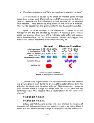 283
•	 When is mutation inherited? Why are mutations in sex cells heritable?
	 Many diseases are caused by the effects of inherited genes. In most
cases, there is only a small difference between DNAsequences in the defective
gene and a normal one. This difference is enough to cause serious and often
fatal diseases. These disease-causing genes are the result of a mutation.
They may be passed from one generation to the next if present in gametes.
	 Figure 10 shows changes in the sequences of bases in normal
hemoglobin and the one affected by mutation. A recessive gene causes
sickle- cell anemia, where most of the red blood cells stiffen and become
sickle shape in affected people. These diseased cells carry less oxygen than
normal cells. People affected by the disease eventually die.
Consider what might happen if an incorrect amino acid was inserted
in a growing protein chain during the process of translation. Do you think this
will affect the structure of the entire molecule? This can possibly happen in
point mutation where a change in a single base pair occurs. Read the two
sentences below. What happens when a single letter in the first sentence is
changed?
THE DOG BIT THE CAT.
THE DOG BIT THE CAR.
Did you see that changing a single letter also changes the meaning of
the sentence? A change in nitrogenous base in a protein may yield a different
amino acid and a corresponding change in the protein structure and function.
Source: education-portal.com
Figure 10. Hemoglobin Gene Mutation
 