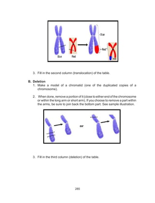 285
3.	 Fill in the second column (translocation) of the table.
B.	 Deletion
1.	 Make a model of a chromatid (one of the duplicated copies of a
chromosome).
2.	 When done, remove a portion of it (close to either end of the chromosome
or within the long arm or short arm). If you choose to remove a part within
the arms, be sure to join back the bottom part. See sample illustration.
3.	 Fill in the third column (deletion) of the table.
 