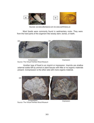 303
Sources: (a) www.albertawow.com (b) www.earthhistory.uk
Most fossils were commonly found in sedimentary rocks. They were
from the hard parts of the organism like woody stem, bones, or teeth.
Compression
Source: The Virtual Petrified Wood Museum
Impression
Another type of fossil is an imprint or impression. Imprints are shallow
external molds left by animal or plant tissues with little or no organic materials
present. Compression is the other side with more organic material.
(a) (b)
(a) (b)
Compression
Source: The Virtual Petrified Wood Museum
Impression
 