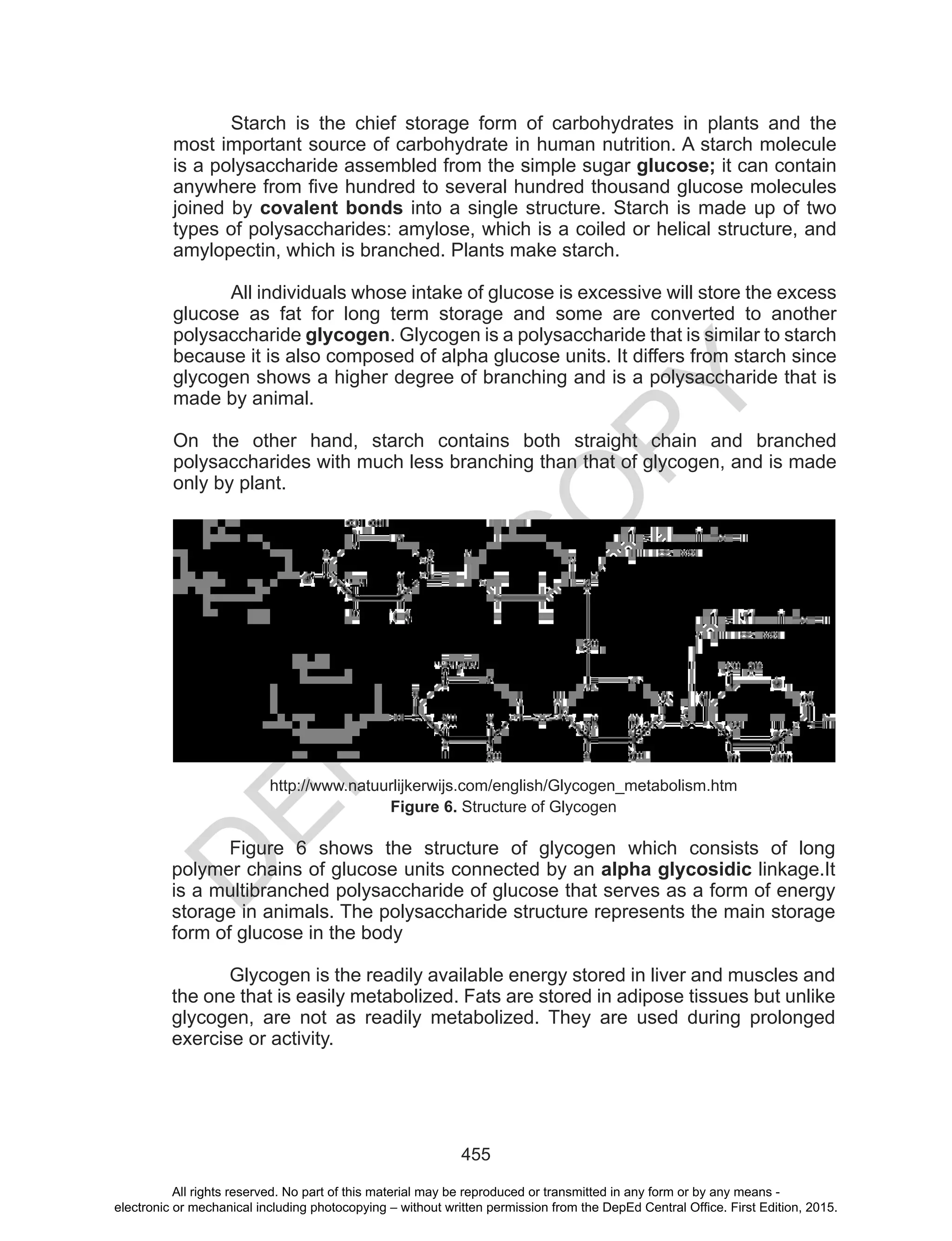 D
EPED
C
O
PY
455
Starch is the chief storage form of carbohydrates in plants and the
most important source of carbohydrate in human nutrition. A starch molecule
is a polysaccharide assembled from the simple sugar glucose; it can contain
anywhere from five hundred to several hundred thousand glucose molecules
joined by covalent bonds into a single structure. Starch is made up of two
types of polysaccharides: amylose, which is a coiled or helical structure, and
amylopectin, which is branched. Plants make starch.
All individuals whose intake of glucose is excessive will store the excess
glucose as fat for long term storage and some are converted to another
polysaccharide glycogen. Glycogen is a polysaccharide that is similar to starch
because it is also composed of alpha glucose units. It differs from starch since
glycogen shows a higher degree of branching and is a polysaccharide that is
made by animal.
On the other hand, starch contains both straight chain and branched
polysaccharides with much less branching than that of glycogen, and is made
only by plant.
http://www.natuurlijkerwijs.com/english/Glycogen_metabolism.htm
Figure 6. Structure of Glycogen
Figure 6 shows the structure of glycogen which consists of long
polymer chains of glucose units connected by an alpha glycosidic linkage.It
is a multibranched polysaccharide of glucose that serves as a form of energy
storage in animals. The polysaccharide structure represents the main storage
form of glucose in the body
Glycogen is the readily available energy stored in liver and muscles and
the one that is easily metabolized. Fats are stored in adipose tissues but unlike
glycogen, are not as readily metabolized. They are used during prolonged
exercise or activity.
All rights reserved. No part of this material may be reproduced or transmitted in any form or by any means -
electronic or mechanical including photocopying – without written permission from the DepEd Central Office. First Edition, 2015.
 