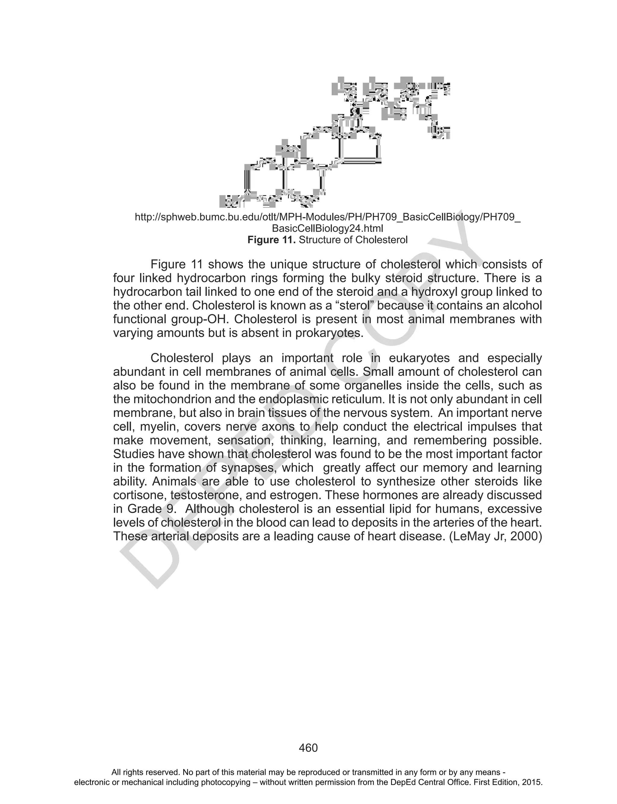 D
EPED
C
O
PY
460
http://sphweb.bumc.bu.edu/otlt/MPH-Modules/PH/PH709_BasicCellBiology/PH709_
BasicCellBiology24.html
Figure 11. Structure of Cholesterol
Figure 11 shows the unique structure of cholesterol which consists of
four linked hydrocarbon rings forming the bulky steroid structure. There is a
hydrocarbon tail linked to one end of the steroid and a hydroxyl group linked to
the other end. Cholesterol is known as a “sterol” because it contains an alcohol
functional group-OH. Cholesterol is present in most animal membranes with
varying amounts but is absent in prokaryotes.
Cholesterol plays an important role in eukaryotes and especially
abundant in cell membranes of animal cells. Small amount of cholesterol can
also be found in the membrane of some organelles inside the cells, such as
the mitochondrion and the endoplasmic reticulum. It is not only abundant in cell
membrane, but also in brain tissues of the nervous system. An important nerve
cell, myelin, covers nerve axons to help conduct the electrical impulses that
make movement, sensation, thinking, learning, and remembering possible.
Studies have shown that cholesterol was found to be the most important factor
in the formation of synapses, which greatly affect our memory and learning
ability. Animals are able to use cholesterol to synthesize other steroids like
cortisone, testosterone, and estrogen. These hormones are already discussed
in Grade 9. Although cholesterol is an essential lipid for humans, excessive
levels of cholesterol in the blood can lead to deposits in the arteries of the heart.
These arterial deposits are a leading cause of heart disease. (LeMay Jr, 2000)
All rights reserved. No part of this material may be reproduced or transmitted in any form or by any means -
electronic or mechanical including photocopying – without written permission from the DepEd Central Office. First Edition, 2015.
 
