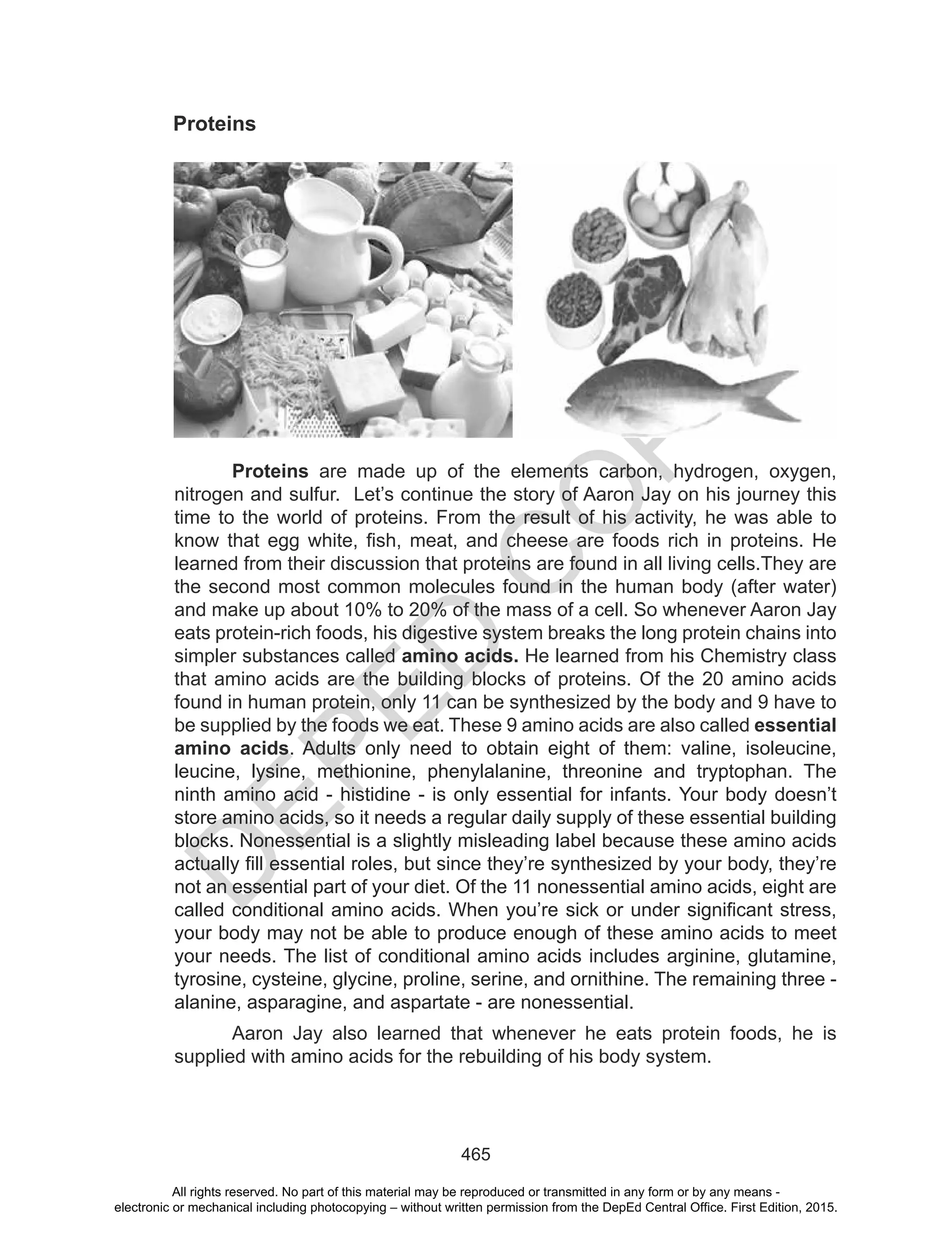 D
EPED
C
O
PY
465
Proteins
Proteins are made up of the elements carbon, hydrogen, oxygen,
nitrogen and sulfur. Let’s continue the story of Aaron Jay on his journey this
time to the world of proteins. From the result of his activity, he was able to
know that egg white, fish, meat, and cheese are foods rich in proteins. He
learned from their discussion that proteins are found in all living cells.They are
the second most common molecules found in the human body (after water)
and make up about 10% to 20% of the mass of a cell. So whenever Aaron Jay
eats protein-rich foods, his digestive system breaks the long protein chains into
simpler substances called amino acids. He learned from his Chemistry class
that amino acids are the building blocks of proteins. Of the 20 amino acids
found in human protein, only 11 can be synthesized by the body and 9 have to
be supplied by the foods we eat. These 9 amino acids are also called essential
amino acids. Adults only need to obtain eight of them: valine, isoleucine,
leucine, lysine, methionine, phenylalanine, threonine and tryptophan. The
ninth amino acid - histidine - is only essential for infants. Your body doesn’t
store amino acids, so it needs a regular daily supply of these essential building
blocks. Nonessential is a slightly misleading label because these amino acids
actually fill essential roles, but since they’re synthesized by your body, they’re
not an essential part of your diet. Of the 11 nonessential amino acids, eight are
called conditional amino acids. When you’re sick or under significant stress,
your body may not be able to produce enough of these amino acids to meet
your needs. The list of conditional amino acids includes arginine, glutamine,
tyrosine, cysteine, glycine, proline, serine, and ornithine. The remaining three -
alanine, asparagine, and aspartate - are nonessential.
Aaron Jay also learned that whenever he eats protein foods, he is
supplied with amino acids for the rebuilding of his body system.
All rights reserved. No part of this material may be reproduced or transmitted in any form or by any means -
electronic or mechanical including photocopying – without written permission from the DepEd Central Office. First Edition, 2015.
 