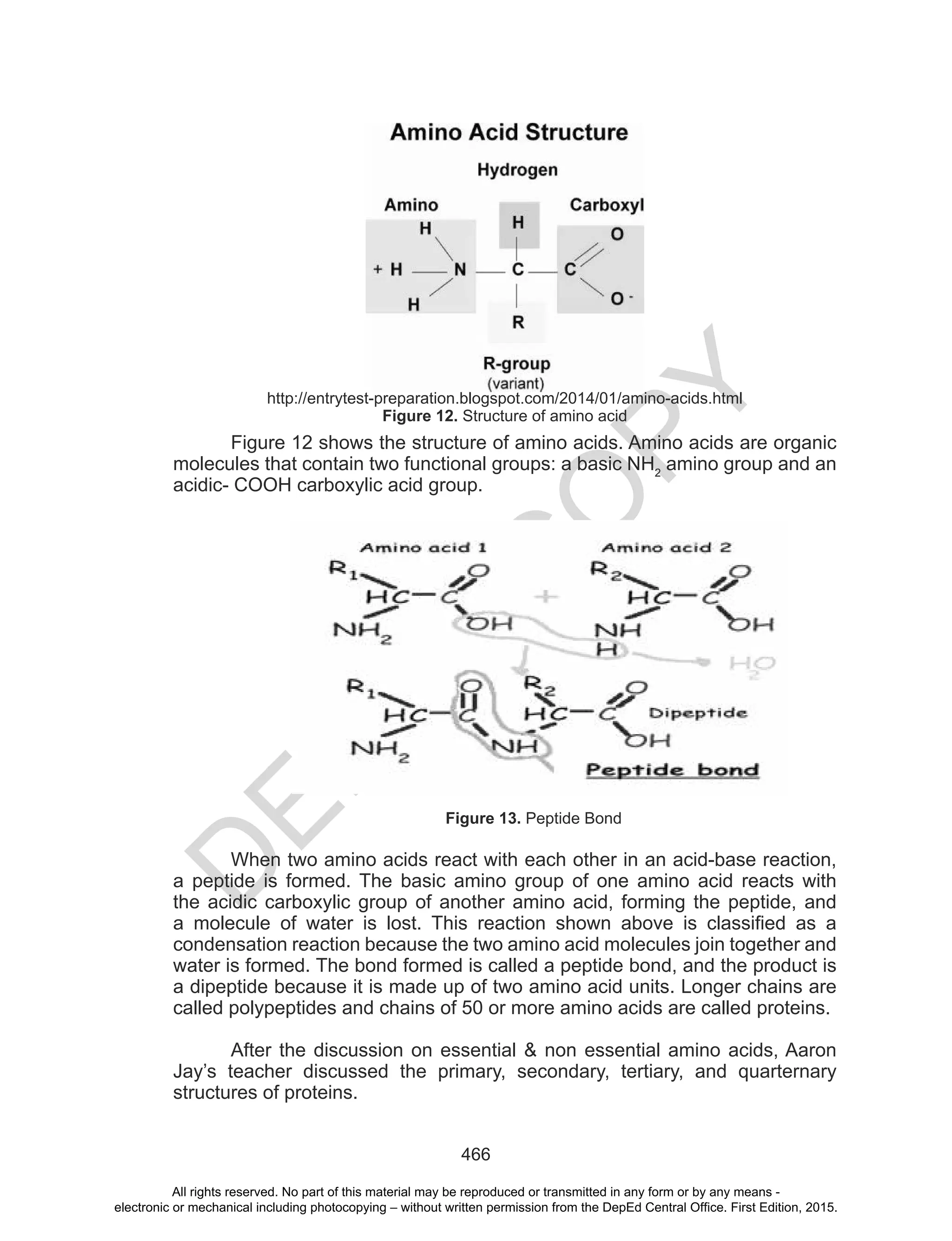 D
EPED
C
O
PY
466
http://entrytest-preparation.blogspot.com/2014/01/amino-acids.html
Figure 12. Structure of amino acid
Figure 12 shows the structure of amino acids. Amino acids are organic
molecules that contain two functional groups: a basic NH2
amino group and an
acidic- COOH carboxylic acid group.
Figure 13. Peptide Bond
When two amino acids react with each other in an acid-base reaction,
a peptide is formed. The basic amino group of one amino acid reacts with
the acidic carboxylic group of another amino acid, forming the peptide, and
a molecule of water is lost. This reaction shown above is classified as a
condensation reaction because the two amino acid molecules join together and
water is formed. The bond formed is called a peptide bond, and the product is
a dipeptide because it is made up of two amino acid units. Longer chains are
called polypeptides and chains of 50 or more amino acids are called proteins.
After the discussion on essential & non essential amino acids, Aaron
Jay’s teacher discussed the primary, secondary, tertiary, and quarternary
structures of proteins.
All rights reserved. No part of this material may be reproduced or transmitted in any form or by any means -
electronic or mechanical including photocopying – without written permission from the DepEd Central Office. First Edition, 2015.
 