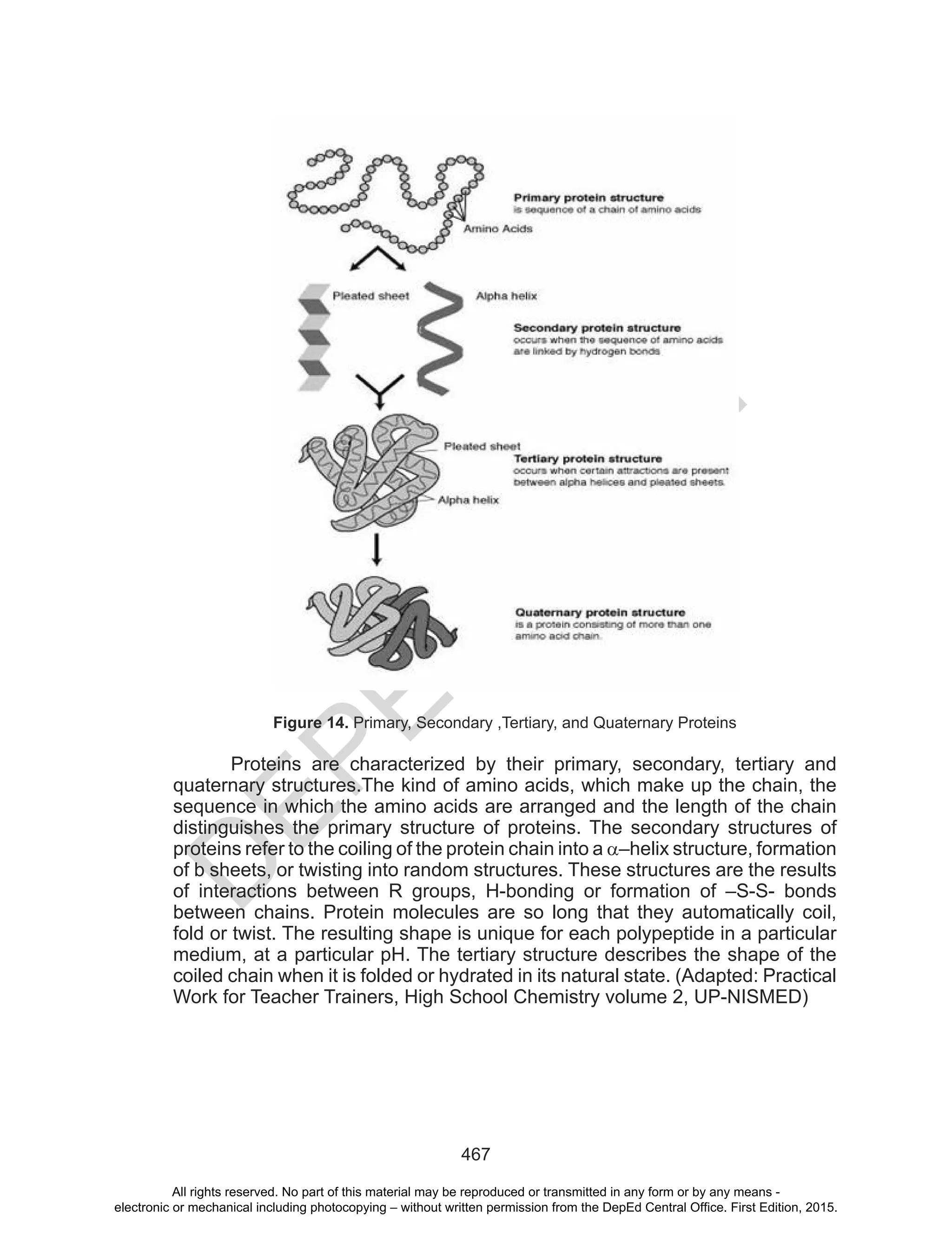 D
EPED
C
O
PY
467
Figure 14. Primary, Secondary ,Tertiary, and Quaternary Proteins
Proteins are characterized by their primary, secondary, tertiary and
quaternary structures.The kind of amino acids, which make up the chain, the
sequence in which the amino acids are arranged and the length of the chain
distinguishes the primary structure of proteins. The secondary structures of
proteins refer to the coiling of the protein chain into a α–helix structure, formation
of b sheets, or twisting into random structures. These structures are the results
of interactions between R groups, H-bonding or formation of –S-S- bonds
between chains. Protein molecules are so long that they automatically coil,
fold or twist. The resulting shape is unique for each polypeptide in a particular
medium, at a particular pH. The tertiary structure describes the shape of the
coiled chain when it is folded or hydrated in its natural state. (Adapted: Practical
Work for Teacher Trainers, High School Chemistry volume 2, UP-NISMED)
All rights reserved. No part of this material may be reproduced or transmitted in any form or by any means -
electronic or mechanical including photocopying – without written permission from the DepEd Central Office. First Edition, 2015.
 