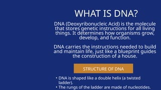 Sci 10 Q3 - Lesson 5 DNA and RNA.pptx____ | PPTX