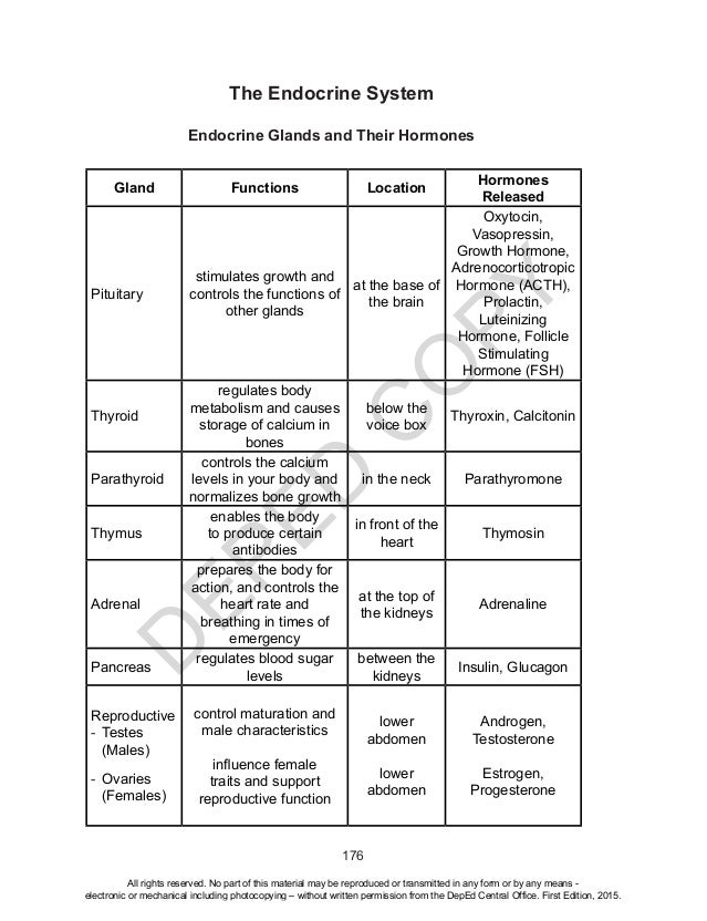 Comparative Functions Of Nervous And Endocrine Systems Chart