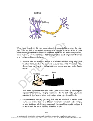 D
EPED
C
O
PY
169
	
When teaching about the nervous system, it is essential to go over the neu-
ron. Point out to the students that neurons are similar to other types of cells
because they perform basic cellular functions and have the same components,
like a nucleus, cell membrane and other organelles; but their primary function
is to receive and transmit signal.
•	 You can use the simplest model to illustrate a neuron using only your
hand and arm, so that the students can understand its structure better.
Simply hold out your arm and spread your fingers as shown in the figure
below.
Your hand represents the “cell body” (also called “soma”); your fingers
represent “dendrites”, bringing information to the cell body, your arm
represents the “axon”, taking information away from the cell body.
•	 For enrichment activity, you may also ask the students to create their
own nerve cell models out of different materials, such as beads, strings,
or clay. Let them label the structures of the model they made and use it
to remember the parts and function of a neuron.
All rights reserved. No part of this material may be reproduced or transmitted in any form or by any means -
electronic or mechanical including photocopying – without written permission from the DepEd Central Office. First Edition, 2015.
 