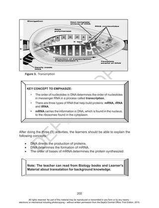 D
EPED
C
O
PY
202
Figure 3. Transcription
After doing the three (3) activities, the learners should be able to explain the
following concepts:
•	 DNA directs the production of proteins.
•	 DNA determines the formation of mRNA.
•	 The order of bases of mRNA determines the protein synthesized.
KEY CONCEPT TO EMPHASIZE:
•	 The order of nucleotides in DNA determines the order of nucleotides
in messenger RNA in a process called transcription.
•	 There are three types of RNA that help build proteins: mRNA, rRNA
and tRNA.
•	 mRNA carries the information in DNA, which is found in the nucleus,
to the ribosomes found in the cytoplasm.
Note: The teacher can read from Biology books and Learner’s
Material about transalation for background knowledge.
All rights reserved. No part of this material may be reproduced or transmitted in any form or by any means -
electronic or mechanical including photocopying – without written permission from the DepEd Central Office. First Edition, 2015.
 