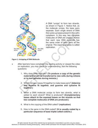 D
EPED
C
O
PY
196
Figure 1. Unzipping of DNA Molecule
•	 After learners have completed the reading activity or viewed the video	
	 on replication, you may check for understanding. Ask the following 	
	questions:
1.	 Why does DNA replicate? (To produce a copy of the genetic
material that will be transferred to new cells during mitosis
or to new gametes during meiosis.)
2.	 Which nitrogen bases fit together to make base pairs? (Adenine
and thymine fit together, and guanine and cytosine fit
together.)
3.	 When a DNA molecule unzips to form two strands, what is
added to each strand? What is produced? (Complementary
bases attach to the exposed bases on the strands so that
two complete molecules of DNA are produced.)
4.	 What is the copying of the DNA called? (replication)
5.	 How is the gene in the DNA coded? (It is usually coded by a
particular sequence of base triplet called codons.)
A DNA “unzips” to form two strands,
as shown in Figure 1. Notice that, as
the molecule unzips, the base pairs
separate. Each single strand of DNA
then picks up bases present in the cell’s
cytoplasm. In this way, two complete
molecules of DNA are created. Notice
that each new DNA molecule has
the same order of base pairs as the
original. The copying process is called
replication.
All rights reserved. No part of this material may be reproduced or transmitted in any form or by any means -
electronic or mechanical including photocopying – without written permission from the DepEd Central Office. First Edition, 2015.
 