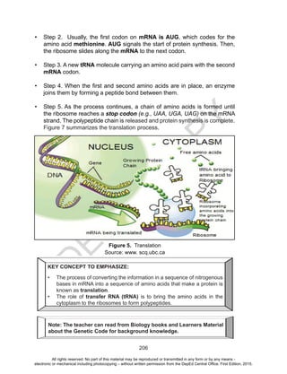 D
EPED
C
O
PY
206
•	 Step 2. Usually, the first codon on mRNA is AUG, which codes for the
amino acid methionine. AUG signals the start of protein synthesis. Then,
the ribosome slides along the mRNA to the next codon.
•	 Step 3. A new tRNA molecule carrying an amino acid pairs with the second
mRNA codon.
•	 Step 4. When the first and second amino acids are in place, an enzyme
joins them by forming a peptide bond between them.
•	 Step 5. As the process continues, a chain of amino acids is formed until
the ribosome reaches a stop codon (e.g., UAA, UGA, UAG) on the mRNA
strand. The polypeptide chain is released and protein synthesis is complete.
Figure 7 summarizes the translation process.
Figure 5. Translation
Source: www. scq.ubc.ca
KEY CONCEPT TO EMPHASIZE:
•	 The process of converting the information in a sequence of nitrogenous
bases in mRNA into a sequence of amino acids that make a protein is
known as translation.
•	 The role of transfer RNA (tRNA) is to bring the amino acids in the
cytoplasm to the ribosomes to form polypeptides.
Note: The teacher can read from Biology books and Learners Material
about the Genetic Code for background knowledge.
All rights reserved. No part of this material may be reproduced or transmitted in any form or by any means -
electronic or mechanical including photocopying – without written permission from the DepEd Central Office. First Edition, 2015.
 