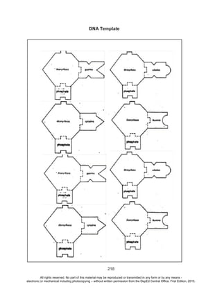 D
EPED
C
O
PY
218
DNA Template
All rights reserved. No part of this material may be reproduced or transmitted in any form or by any means -
electronic or mechanical including photocopying – without written permission from the DepEd Central Office. First Edition, 2015.
 