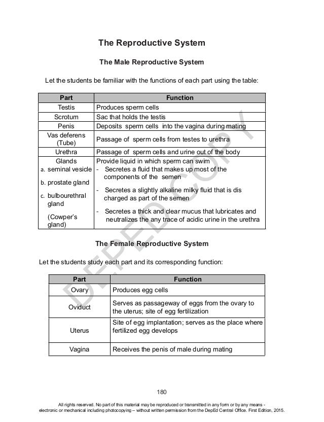 science learners module grade 10 unit 3 45 638