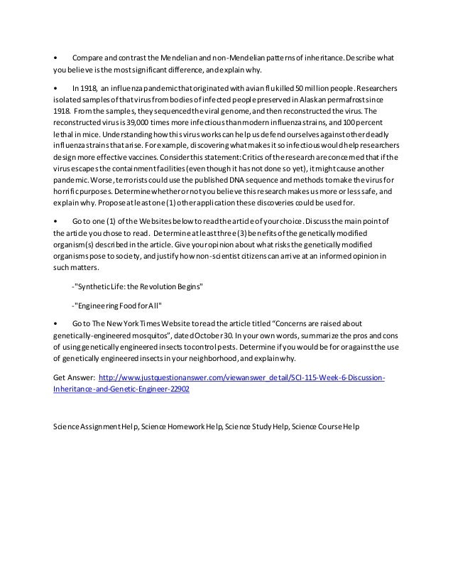 essay and owl lyrics meanings