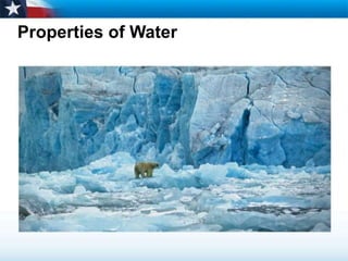 Properties of Water 
 